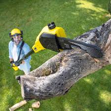  Horicon, WI Tree Services Pros