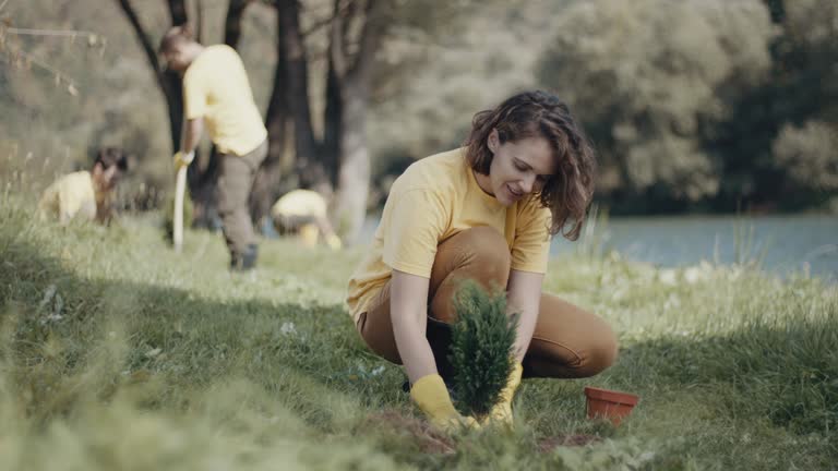 Best Lawn Maintenance Plans  in Horicon, WI