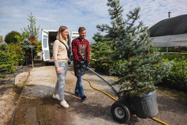 Best Tree and Shrub Care  in Horicon, WI